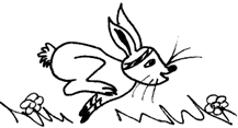 Hase.png